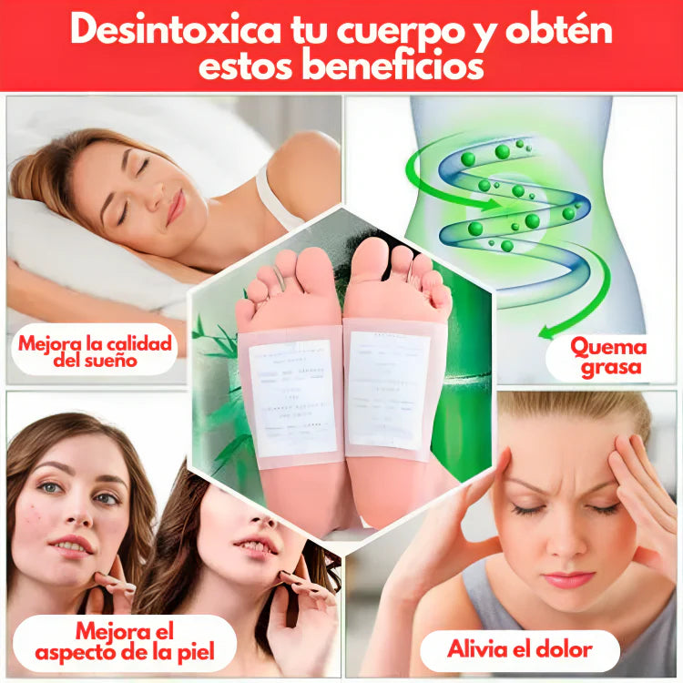 PARCHES DESINTOXICANTE KINOKI